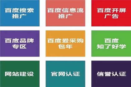 网络推广与竞价策略实战案例